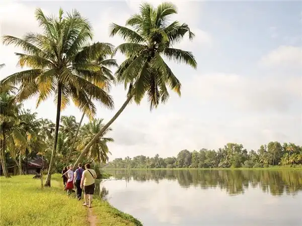 Travellers walking beside a palm-lined backwater